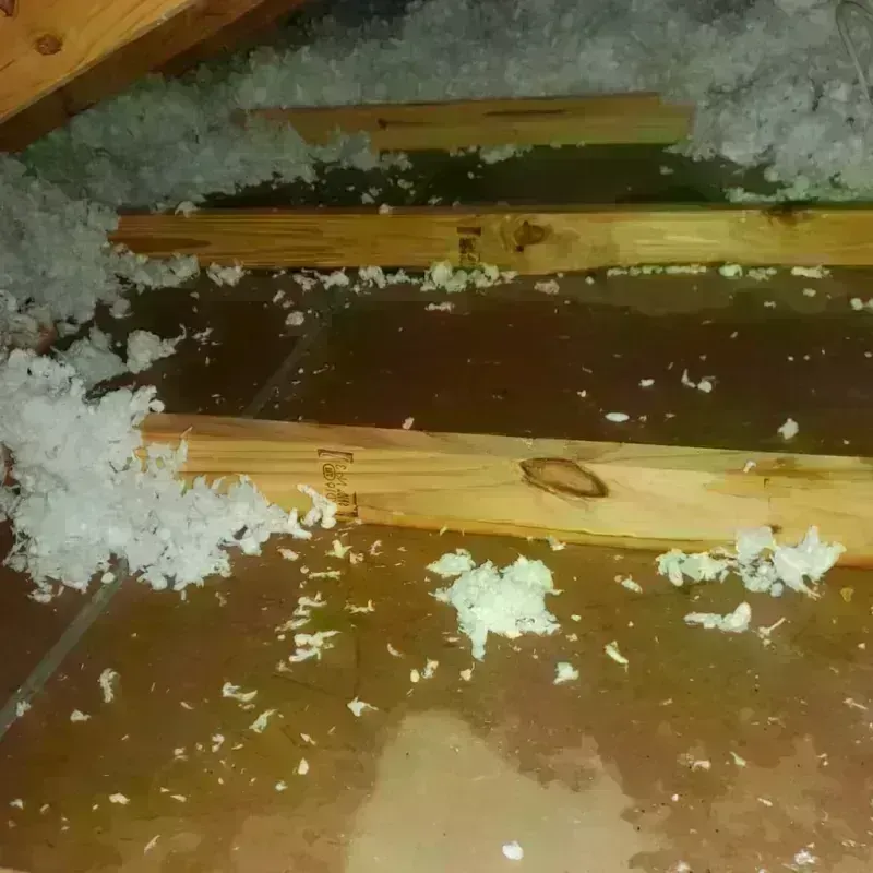 Attic Water Damage in Webster City, IA