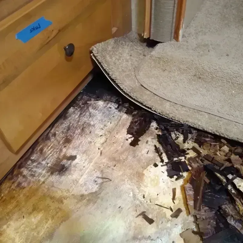 Wood Floor Water Damage in Webster City, IA